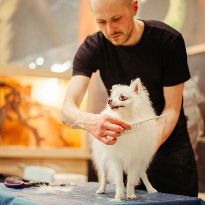 boney-700779-unsplash boney-700779-unsplash